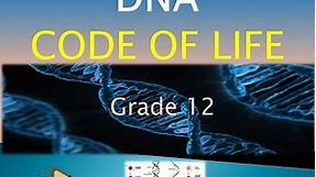 DNA CODE OF LIFE | LIFE SCIENCES GRADE 12| TERM 1, 2023| M.SAIDI | ThunderEDUC