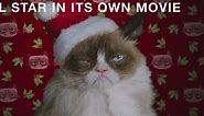 Grumpy Cat starring in Christmas movie