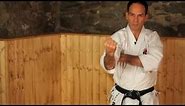 How to Do a Reverse Punch | Karate Lessons