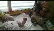 Confused cat not sure how to handle baby