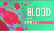 Blood, Part 1 - True Blood: Crash Course Anatomy & Physiology #29