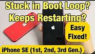 iPhone SE 1/2/3: Stuck in Boot Loop? Keeps Restarting? Watch this First! FIXED!