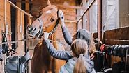 How to Tack Up Your Horse (A Guide for English Riders)