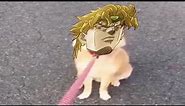 Dio is Angry Pet - JoJo's Bizarre meme