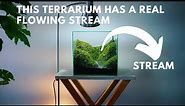 making a mossy hills terrarium with a real flowing stream