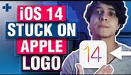 3 Ways to Fix iOS14 Stuck On Apple Logo without iTunes