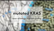 Cancer cell biology: mutated KRAS & reciprocal signalling