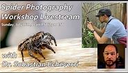 LIVESTREAM - Spider Photography Workshop w/ Dr. Sebastian Echeverri