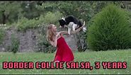 Border Collie Performs Epic Dance Tricks with Owner || WooGlobe