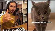 The Kiffness X Alugalug Cat 2.0 (Please Go Away)
