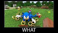 Minecraft wait what meme part 310 realistic minecraft Sonic