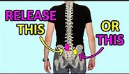 Release Your Lower Back Pain Like A Chiropractor