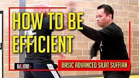 HOW TO BE EFFICIENT In BASIC ADVANCED SILAT