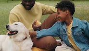 Cheerful African Boy Petting Dog on Family Picnic in Park