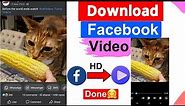How to Download Facebook Video in 2023 [Updated]