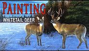 How I Created a Whitetail Deer Painting