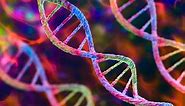 9 facts about genetics you may not already know
