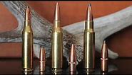 243 vs 308 vs 7mm-08: Which Should You Use?