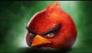 my offensive, cryptic, and bad realistic angry birds memes