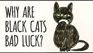 Why Are Black Cats Considered BAD LUCK?