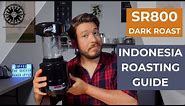 SR800 Dark Roasting Indonesian Coffee | Beginner's Guide