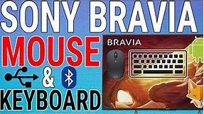 How To Connect Mouse & Keyboard To Sony Bravia TV