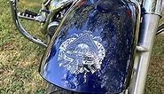 Ace of Spades Skull Motorcycle Tank Fork Decals 7 Piece Set