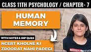 Human Memory Class 11 Psychology Chapter 7 One Shot Explanation