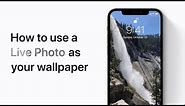 How to use a Live Photo as your wallpaper on your iPhone — Apple Support