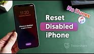 How to Reset Disabled iPhone without iTunes (2 Ways)