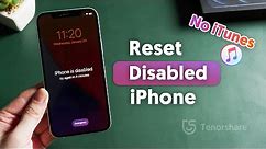 How to Reset Disabled iPhone without iTunes (2 Ways)