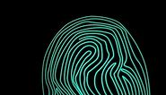 Conceptual animation of a fingerprint scanner. Line art video motion. Dactylogram