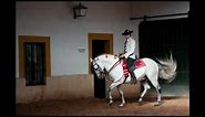 The Dancing Horses of Jerez, Andalucia