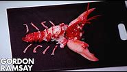 Gordon Ramsay | How to Extract ALL the Meat from a Lobster