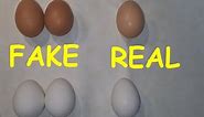 Real vs fake Eggs. How to spot organic chicken eggs from synthetic / non-organic ones