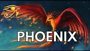 Phoenix | Mystic Bird of Renewal