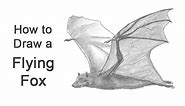 How to Draw a Bat (Flying Fox)