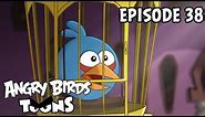 Angry Birds Toons | A Pig's Best Friend - S1 Ep38