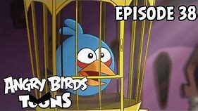 Angry Birds Toons | A Pig's Best Friend - S1 Ep38