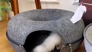 Donut Cat Bed Tunnel