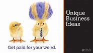Unique Business Ideas - Unique Small Business Ideas | TRUIC