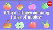 Why are there so many types of apples? - Theresa Doud