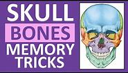 Skull Bones Mnemonic (Cranial and Facial Bones) | Anatomy and Physiology