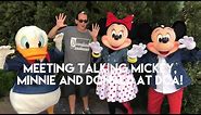 Meeting Talking Donald, Mickey, and Minnie at Disney California Adventure