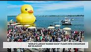 World's Largest Rubber Duck visiting Maryland waters
