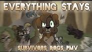 Everything Stays | Survivors Dogs PMV