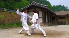 Taekkyeon, a traditional Korean martial art