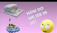 What is Stereoscopic Vision explained FOR BEGINNERS | Parallax and Stereo View