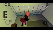 Distorted Penny Gameplay | Roblox Piggy