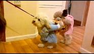Best Ever fancy dress costume for a Dog